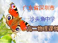 �㶫ʡ������ɳͷ����ѧ�߶������μ�����
