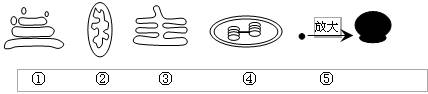 �߿���Դ��(ks5u.com),�й����ĸ߿���վ,�����ߵĸ߿�ר�ҡ�
